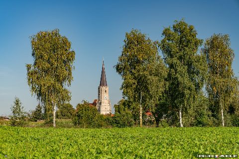 Gemeinde Bad_Füssing Landkreis Passau Aigen am Inn Wallfahrtskirche St. Leonhard (Dirschl Johann) Deutschland PA